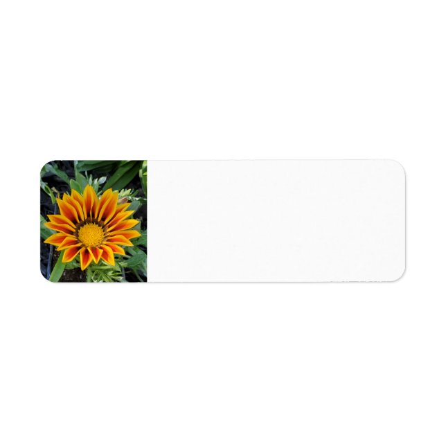 Gazania Address Labels (Vorne)