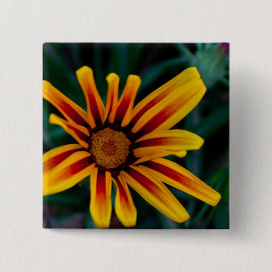 Gazania-Blume Button