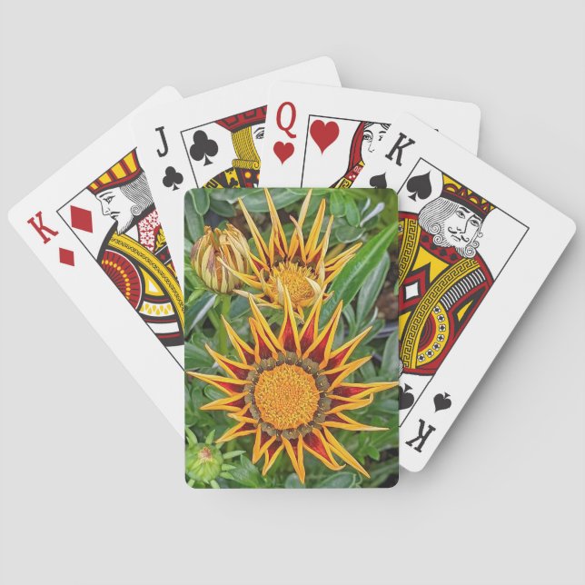 Gazania Blume Spielkarten (Rückseite)