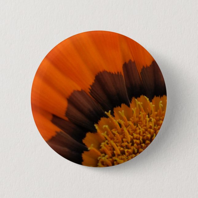 Gazania Button (Vorderseite)