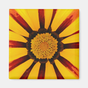 Gazania Magnet