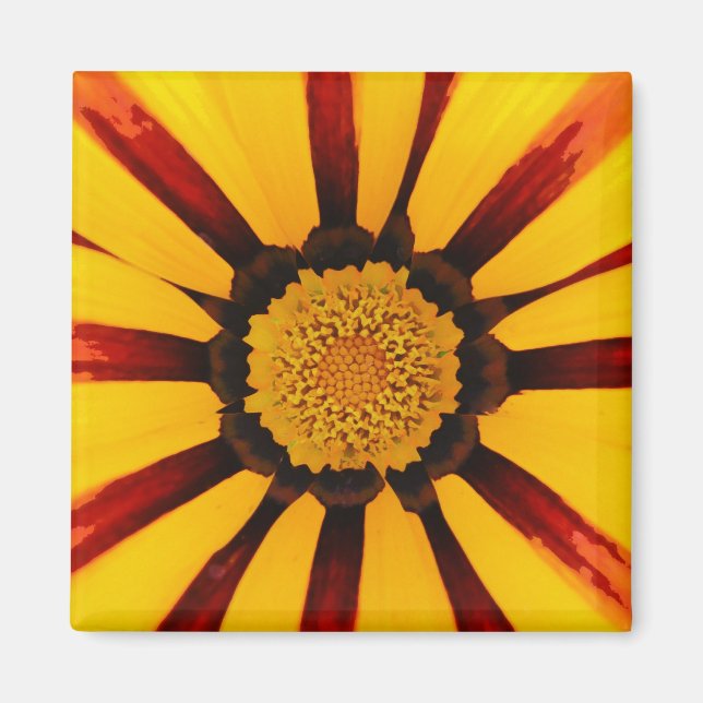 Gazania Magnet (Vorne)
