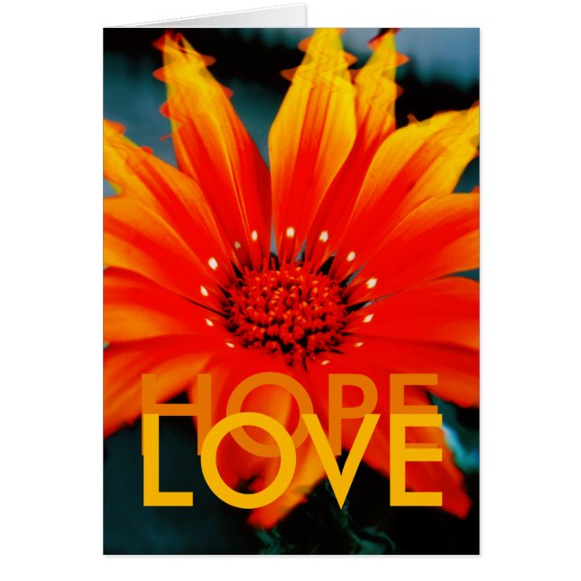 GAZANIART-Karte (Vorne)