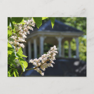 'Gazebo' Postkarte
