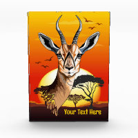 Gazelle African Antelope Wild Animal