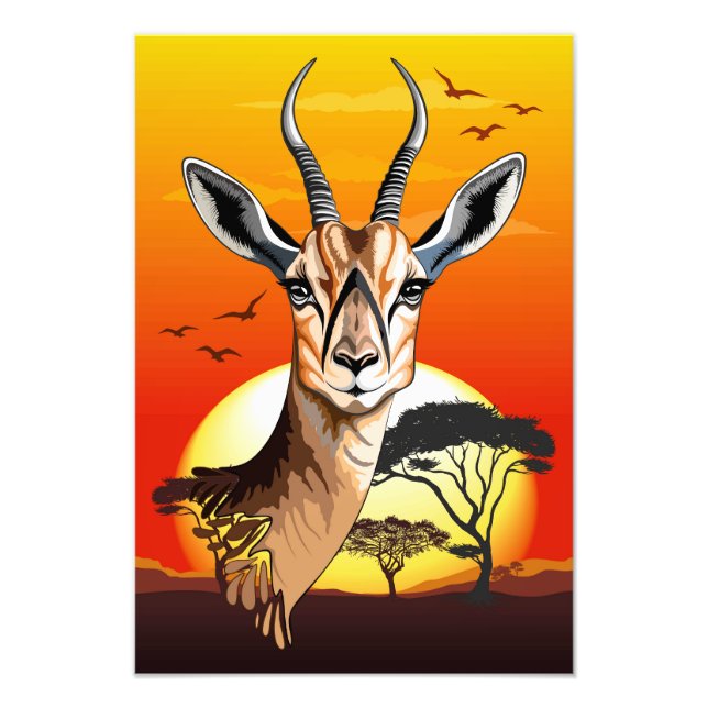 Gazelle African Antelope Wild Animal Fotodruck (Vorne)