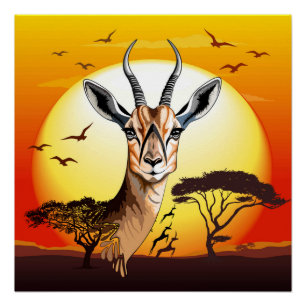 Gazelle African Antelope Wild Animal Poster