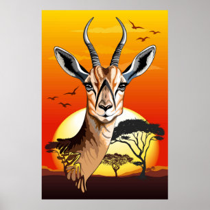Gazelle African Antelope Wild Animal Poster
