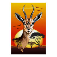 Gazelle African Antelope Wild Animal