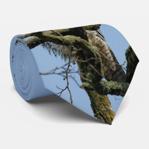 Gazelle an einem majestätischen Peregrine-Falken Krawatte