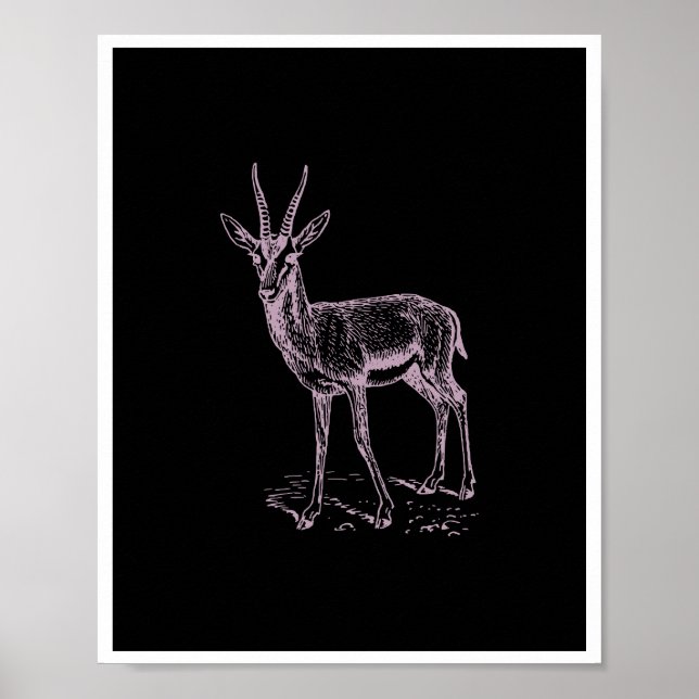 Gazelle Deer Poster (Vorne)