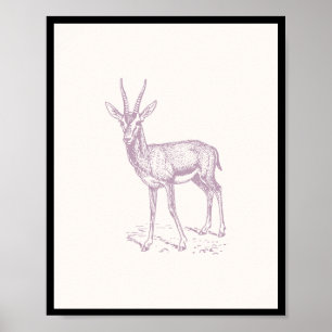 Gazelle Deer Poster