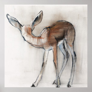 Gazelle Fawn Poster