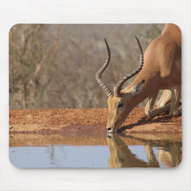 Gazelle Mousepad (Vorne)