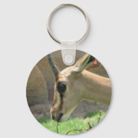 Gazelle Schlüsselanhänger