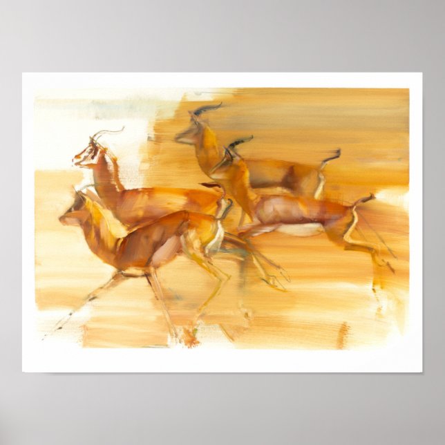 Gazellen 2010 poster (Vorne)