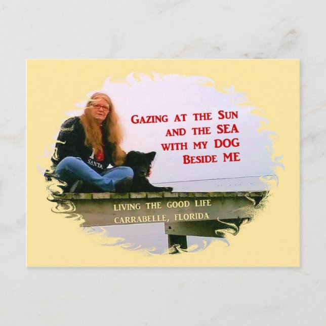 Gazing At The Sun Postkarte (Vorderseite)