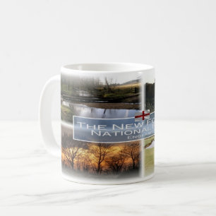 GB England - The New Forest National Park - Tasse