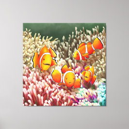 GB Print on canvas clown fish Leinwanddruck