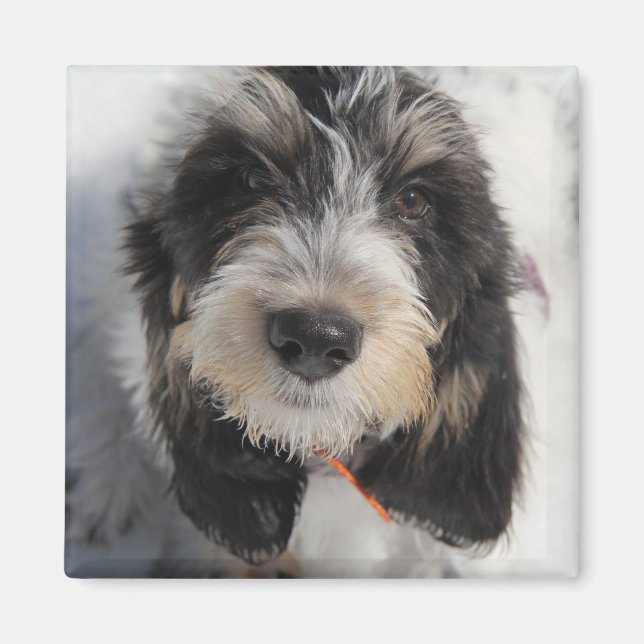 GBGV Welppy Magnet (Vorne)