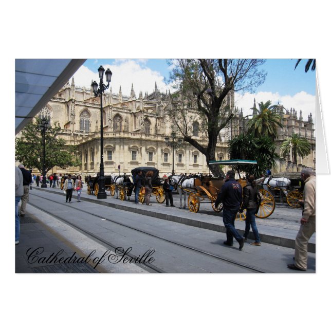 gc/n (Vorderseite (Horizontal))