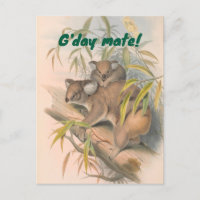 G'day Mate Australian Gruß mit Koalas