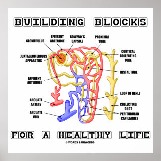 Gebäude blockiert ein gesundes Leben Niere Nephron Poster