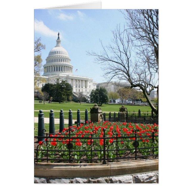 GEBÄUDE der US-Hauptstadt im Frühjahr (Vorne)