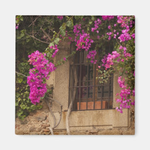 Gebäude des Ciudad Monumental, von der Blume bede Magnet