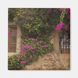 Gebäude des Ciudad Monumental, von der Blume bede Magnet