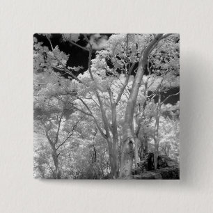 Gebäude und Wanderwege in Las 2, Infra rot Button