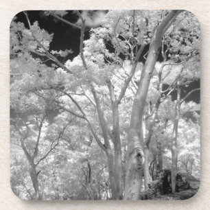 Gebäude und Wanderwege in Las 2, Infra rot Getränkeuntersetzer