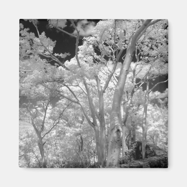 Gebäude und Wanderwege in Las 2 Magnet (Vorne)