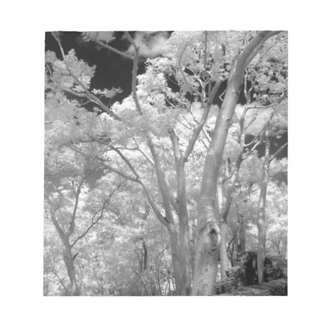 Gebäude und Wanderwege in Las 2 Notizblock (Vorderseite)