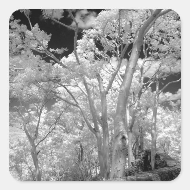 Gebäude und Wanderwege in Las 2 Quadratischer Aufkleber (Vorderseite)