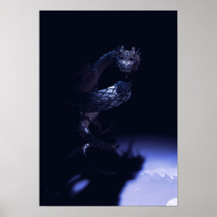 Geben Sie den Drachen ein Poster
