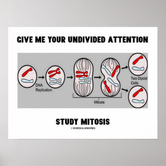 Geben Sie mir Ihre ungeteilte Aufmerksamkeit Studi Poster