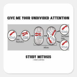 Geben Sie mir Ihre ungeteilte Aufmerksamkeit Studi Quadratischer Aufkleber