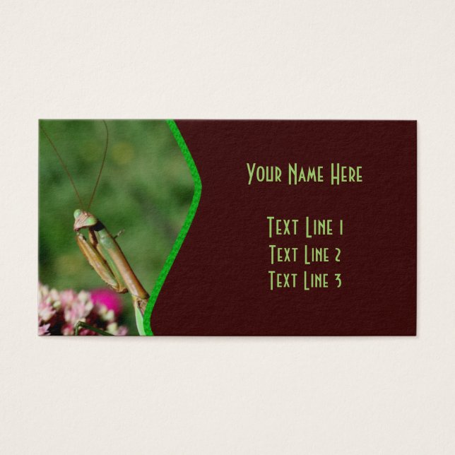 Gebet der Mantis-Insekten-Natur (Vorderseite)