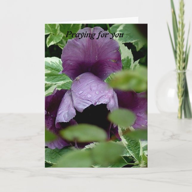 Gebet für Sie Karte (Vorderseite)