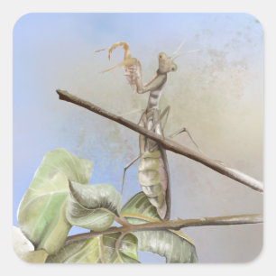 Gebet Mantis Aquarell Quadratischer Aufkleber