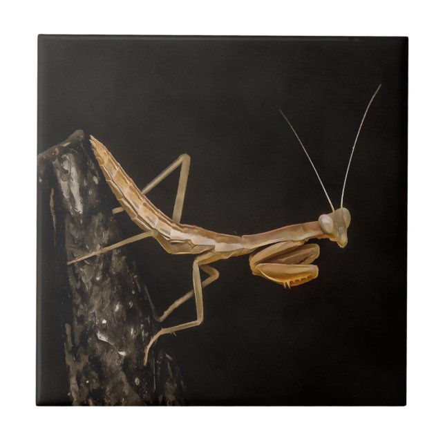 Gebet Mantis Niedliche und gruselige Insektenkunst Fliese (Vorderseite)