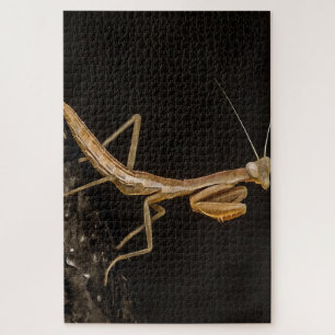 Gebet Mantis Niedliche und gruselige Insektenkunst Puzzle