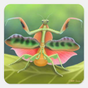 Gebet Mantis zeigen Quadratischer Aufkleber