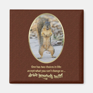 Gebete der Stille in einer Nuss Magnet