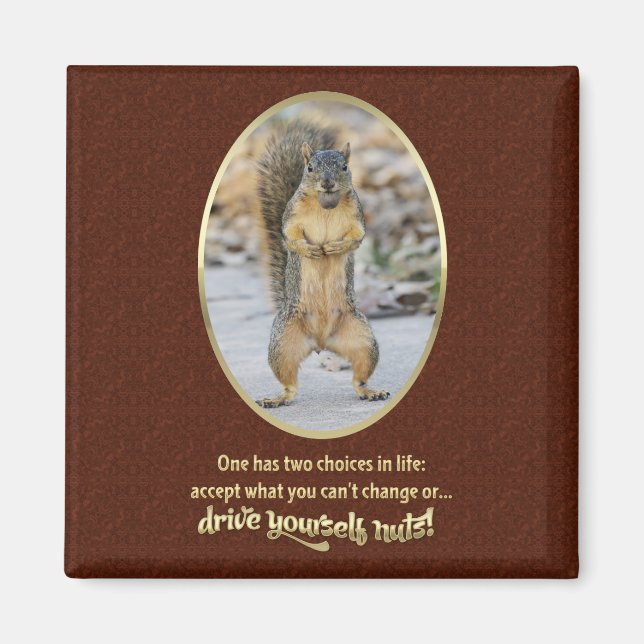 Gebete der Stille in einer Nuss Magnet (Vorne)