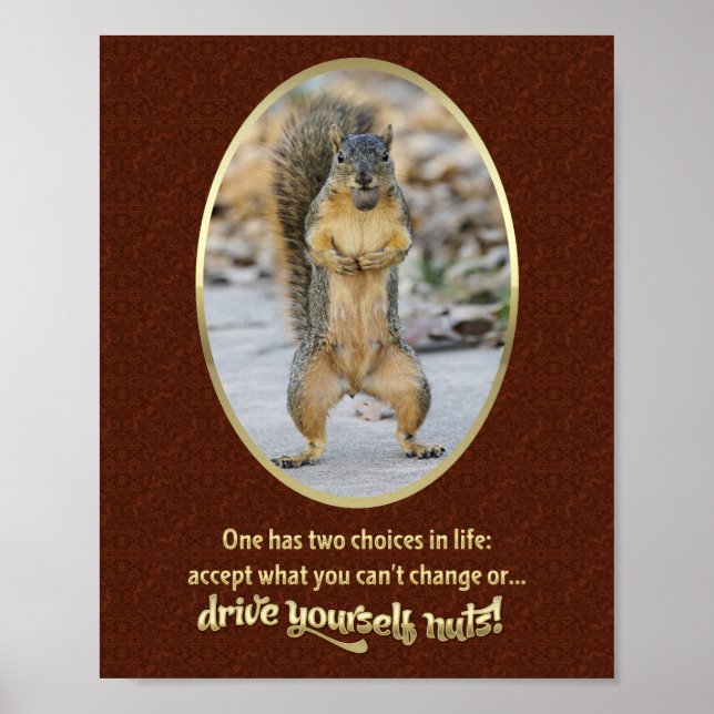 Gebete der Stille in einer Nuss Poster (Vorne)