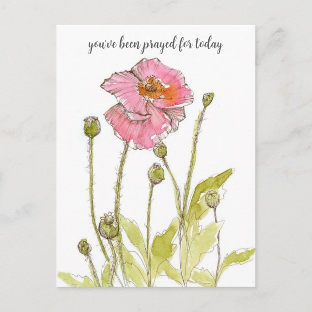 Gebetet für euch religiöse Pink-Poppies-Blume Postkarte (Vorderseite)