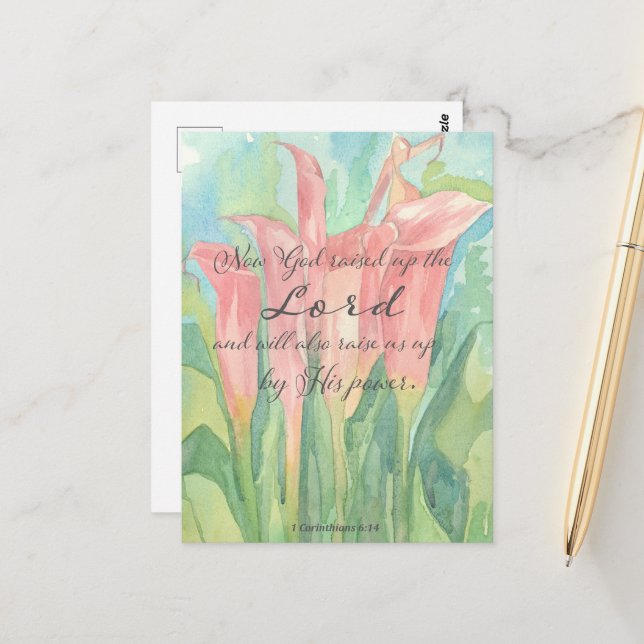 Gebetskarte 1 Corinthians Pink Calla Lily Blume Postkarte (Vorderseite/Rückseite Beispiel)