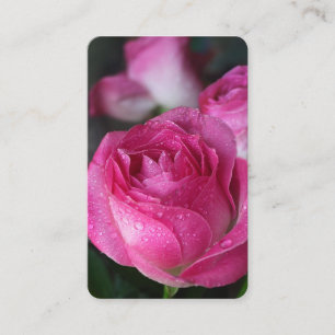 Gebetskarte   Delikate Rose Visitenkarte